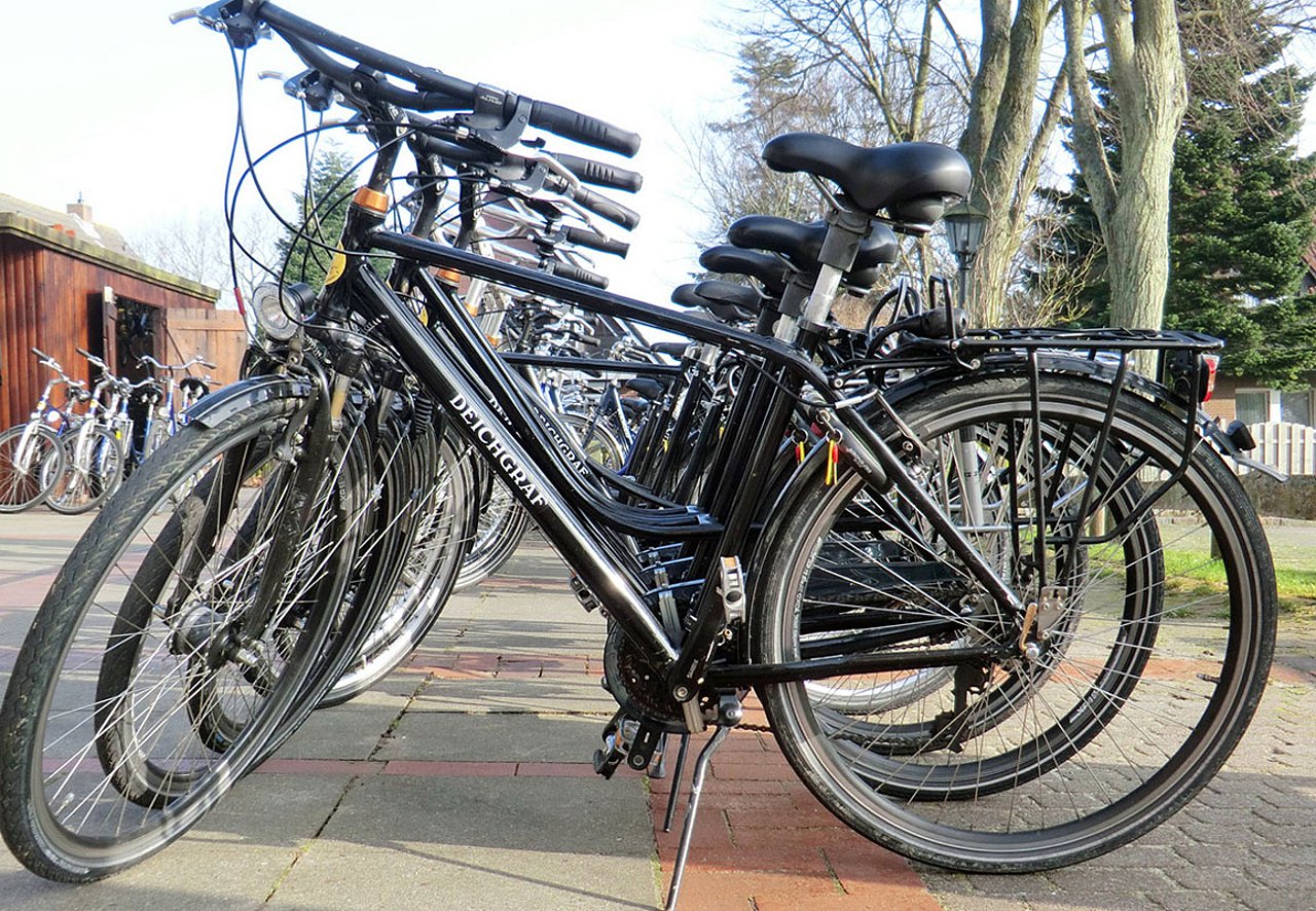 Räder des Fahrradverleihs Deichgraf auf Föhr