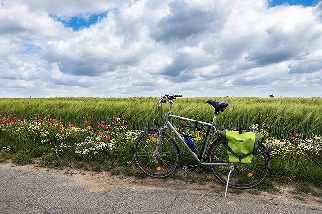 Ein Fahrrad steht vor einem Weizenfeld.
