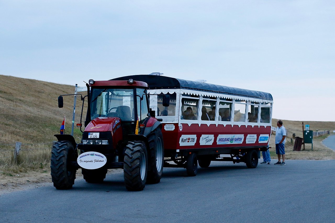 Inselrundföhrfahrten mit Planwagen: De urige Föhrtour