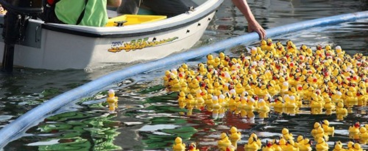 Hafenfestival – Föhrer Entenrennen - ein spannendes
Rennen mit hunderten von Quietsche-Enten im Hafenbecken