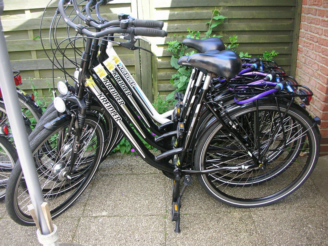 Damenräder des Fahrradverleih Baerenzung & Verkauf auf Föhr
