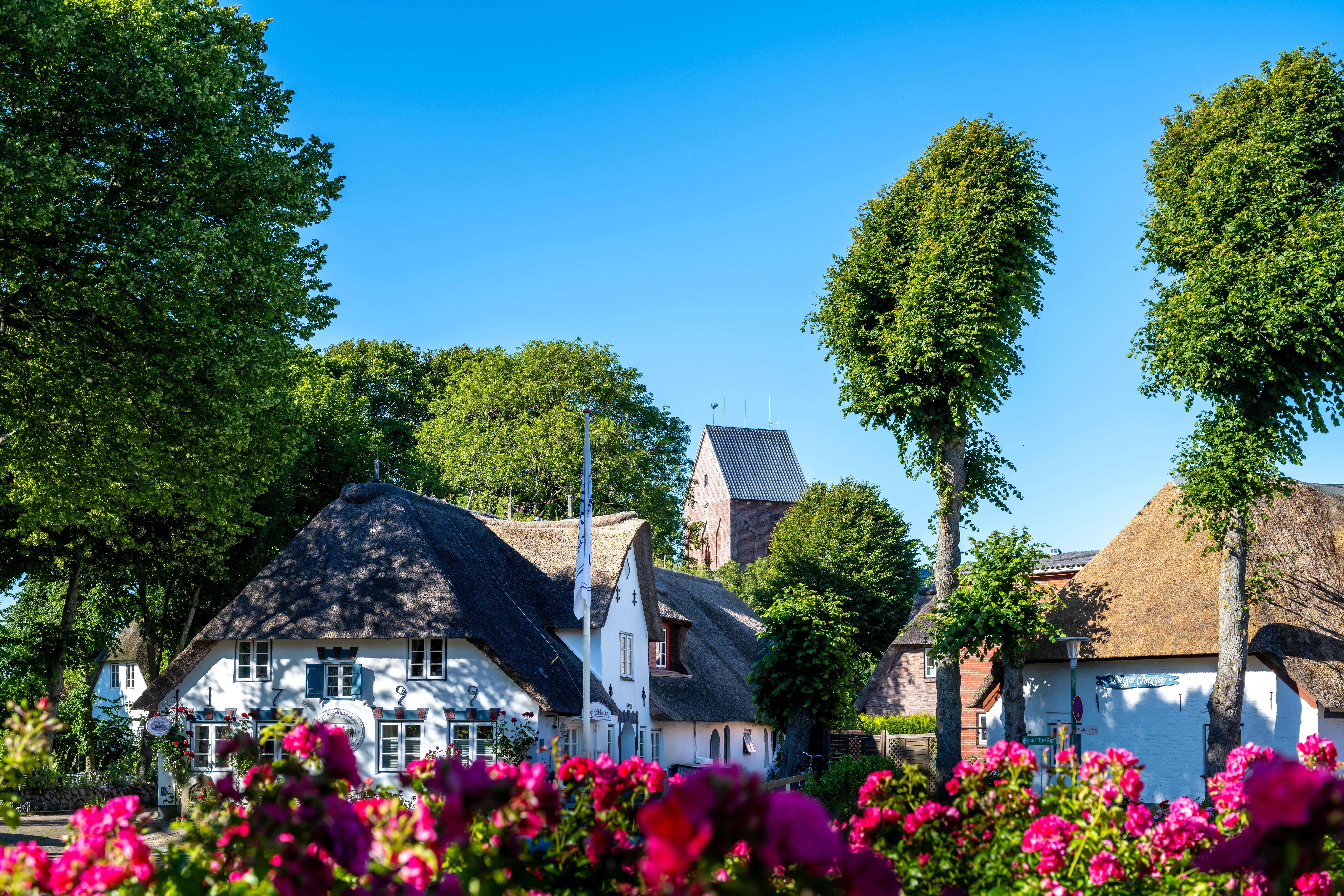 Dorfstraße im Sommer mit Reetdachhäusern und blauem Himmel