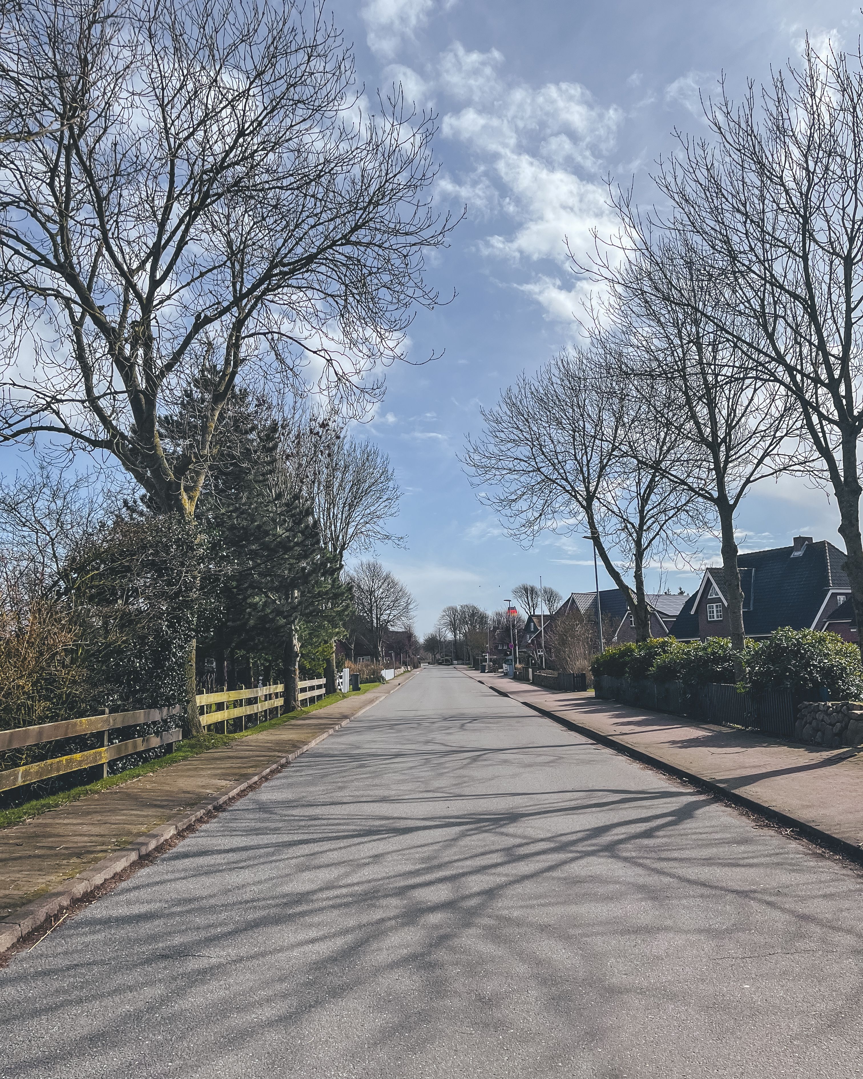 Bild Borgsum Straße