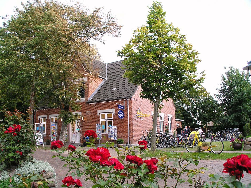 Fahrräder in Mitten von Rosen und Bäumen beim Fahrradverleih Welluuper auf Föhr