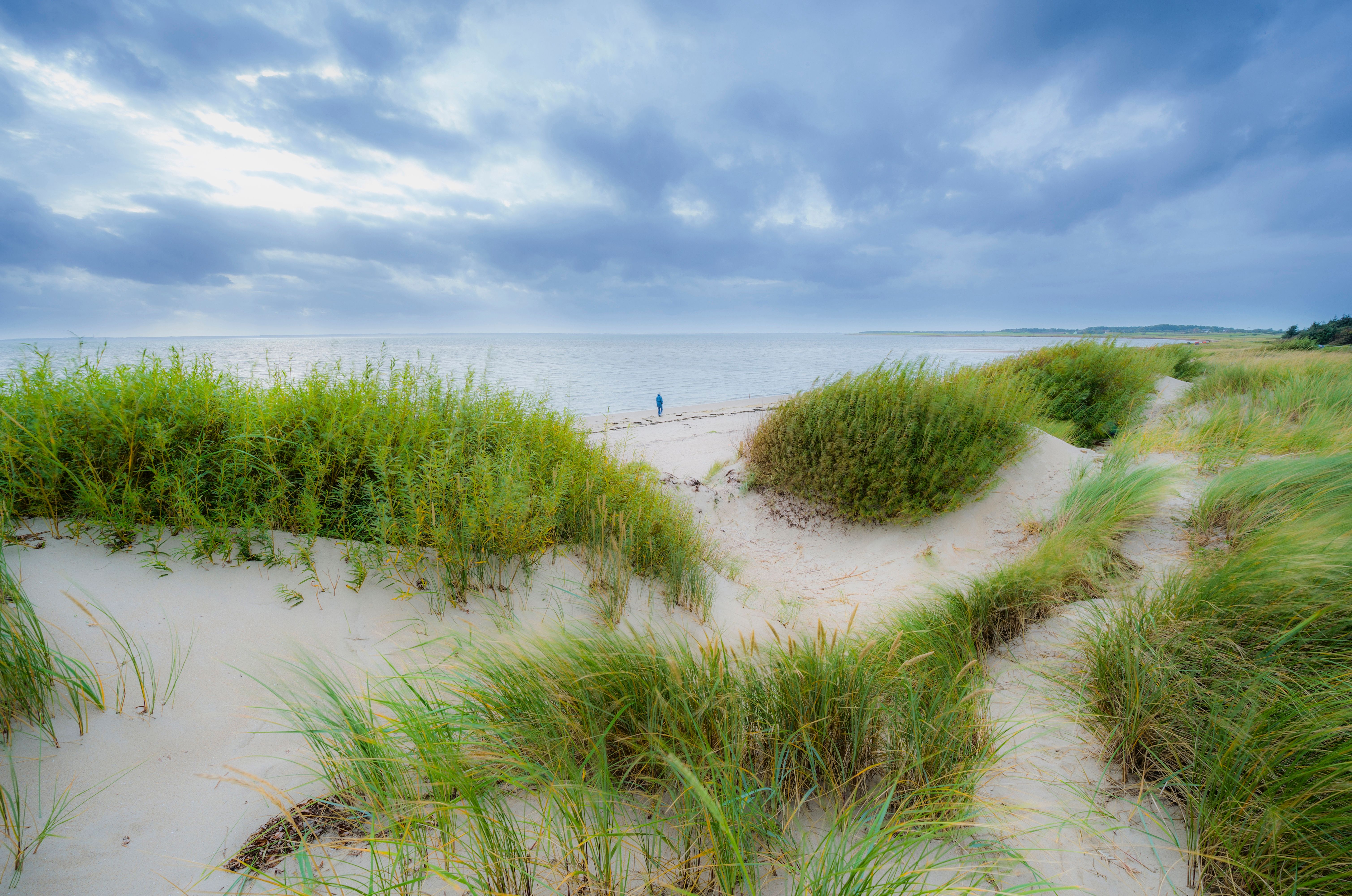 Strand in Goting