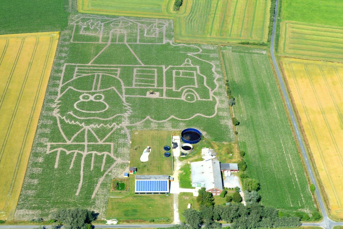 Eine Luftansicht des Labyrinths. Als Muster erkennt man ein Feuerwehrauto, ein Haus und ein Gesicht im Maislabyrinth auf Föhr
