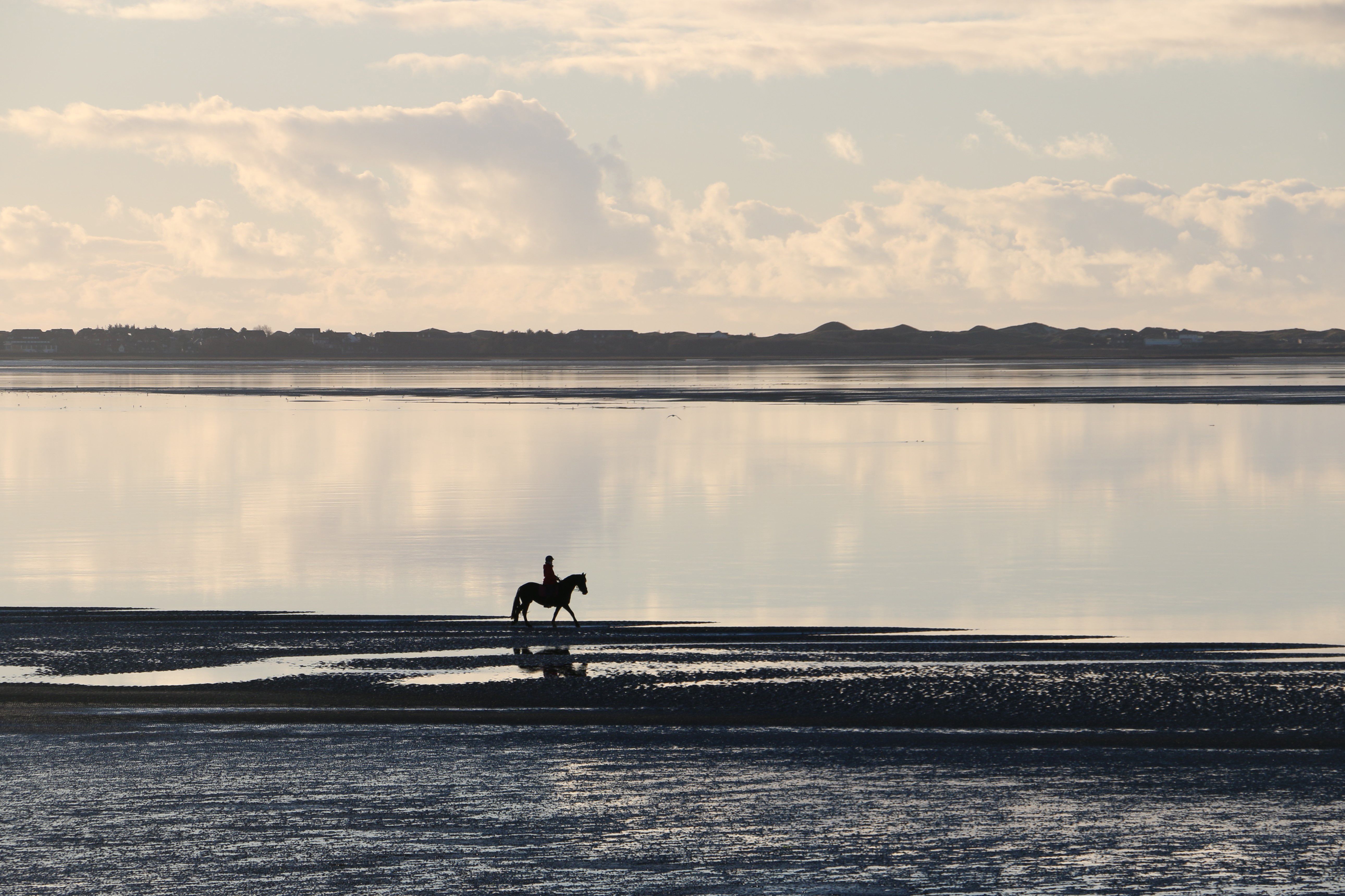 Reiten im Watt