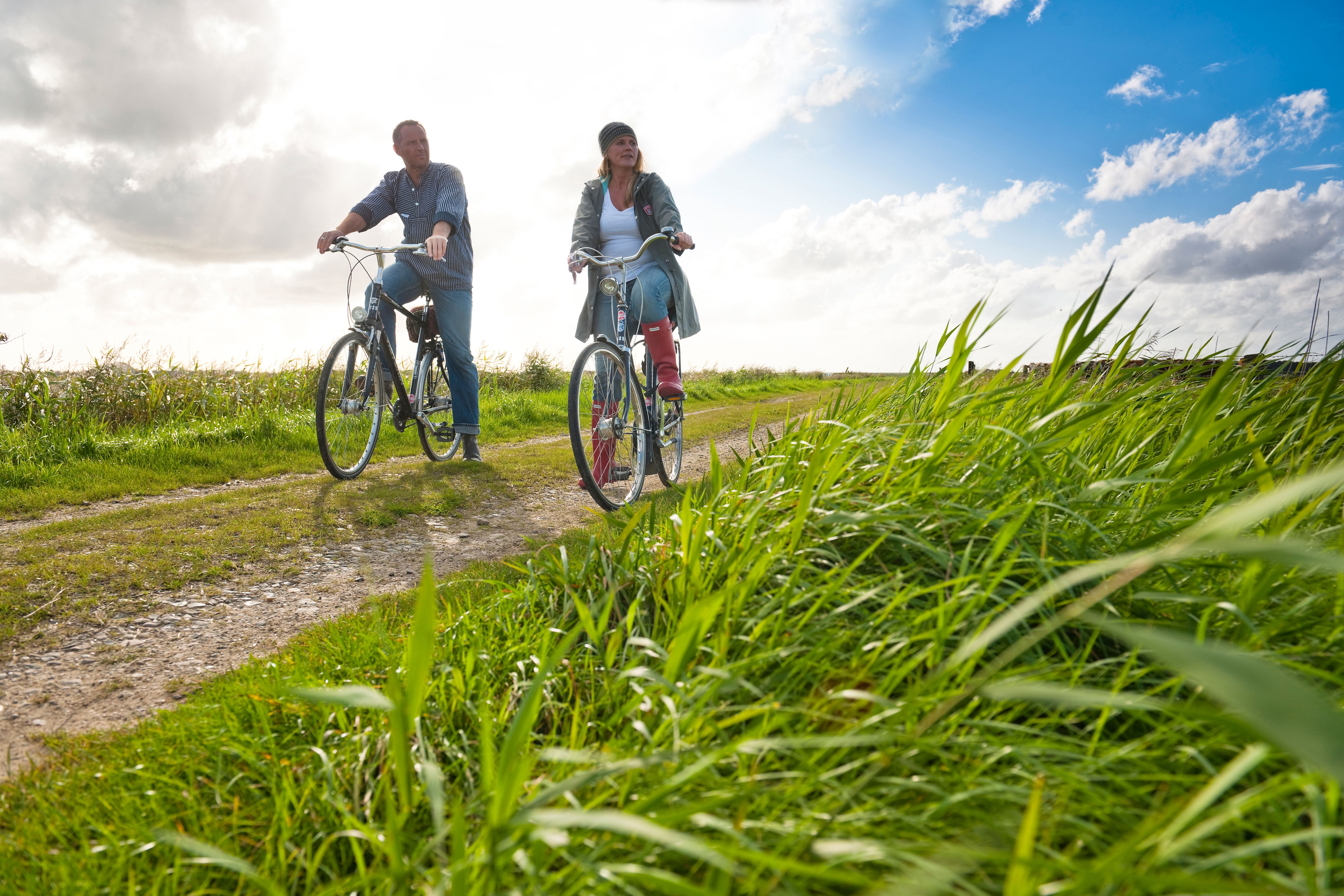 Radfahrer in der Marsch der Insel Föhr 